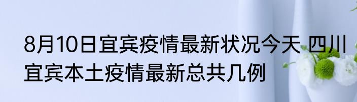 8月10日宜宾疫情最新状况今天 四川宜宾本土疫情最新总共几例