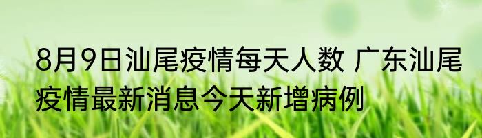 8月9日汕尾疫情每天人数 广东汕尾疫情最新消息今天新增病例