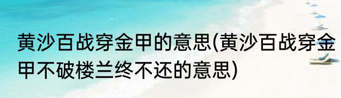 黄沙百战穿金甲的意思(黄沙百战穿金甲不破楼兰终不还的意思)