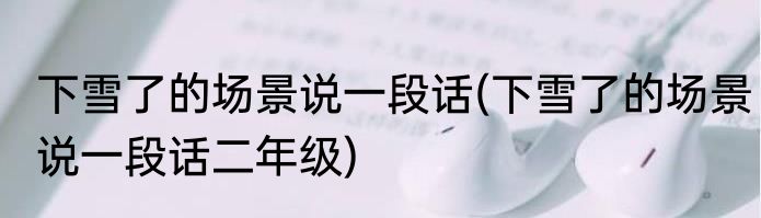 下雪了的场景说一段话(下雪了的场景说一段话二年级)