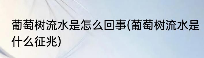 葡萄树流水是怎么回事(葡萄树流水是什么征兆)