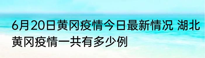 6月20日黄冈疫情今日最新情况 湖北黄冈疫情一共有多少例