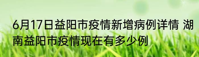 6月17日益阳市疫情新增病例详情 湖南益阳市疫情现在有多少例