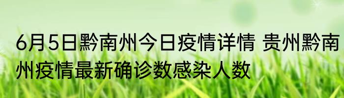 6月5日黔南州今日疫情详情 贵州黔南州疫情最新确诊数感染人数