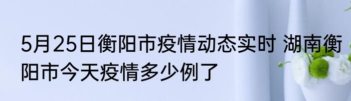 5月25日衡阳市疫情动态实时 湖南衡阳市今天疫情多少例了