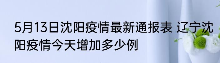 5月13日沈阳疫情最新通报表 辽宁沈阳疫情今天增加多少例