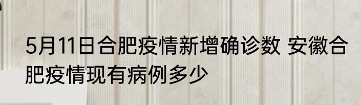 5月11日合肥疫情新增确诊数 安徽合肥疫情现有病例多少
