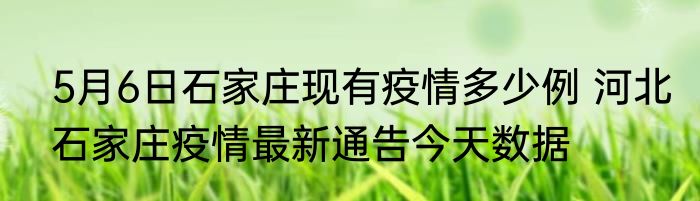 5月6日石家庄现有疫情多少例 河北石家庄疫情最新通告今天数据
