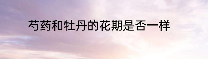 芍药和牡丹的花期是否一样