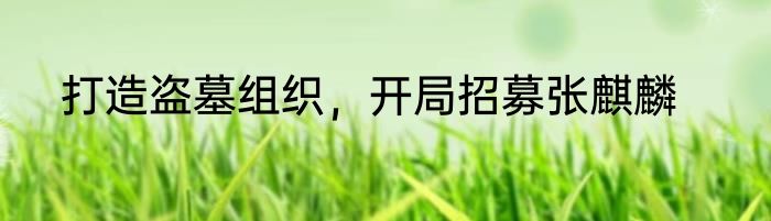 打造盗墓组织，开局招募张麒麟