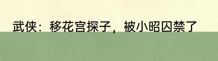 武侠：移花宫探子，被小昭囚禁了