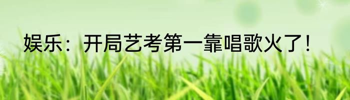 娱乐：开局艺考第一靠唱歌火了！