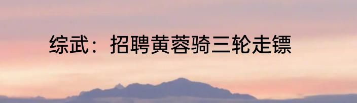 综武：招聘黄蓉骑三轮走镖