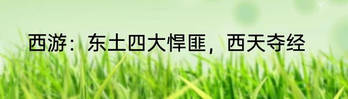 西游：东土四大悍匪，西天夺经