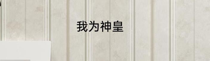 我为神皇