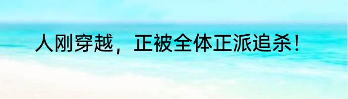 人刚穿越，正被全体正派追杀！