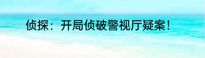 侦探：开局侦破警视厅疑案！