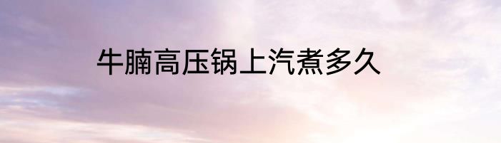 牛腩高压锅上汽煮多久