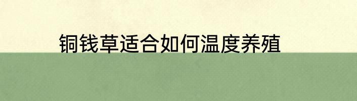 铜钱草适合如何温度养殖