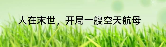 人在末世，开局一艘空天航母