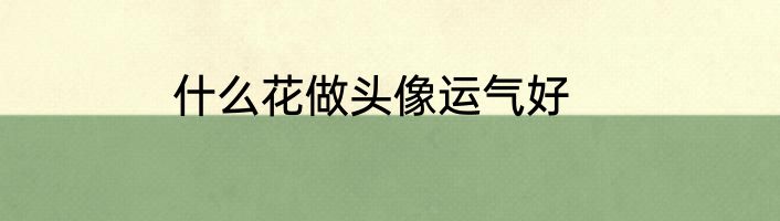 什么花做头像运气好