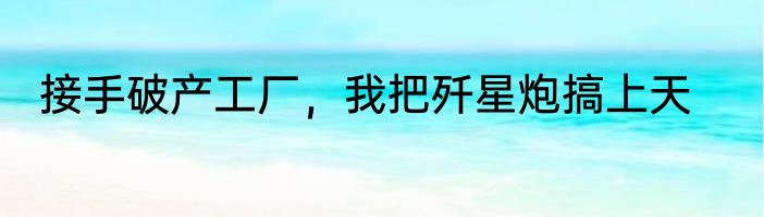 接手破产工厂，我把歼星炮搞上天