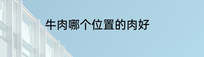 牛肉哪个位置的肉好
