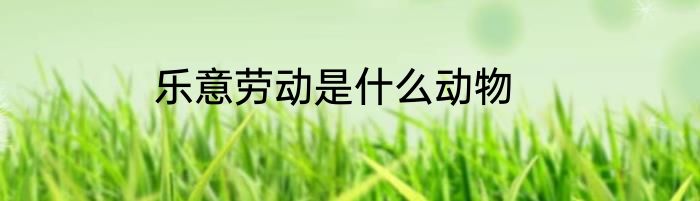 乐意劳动是什么动物