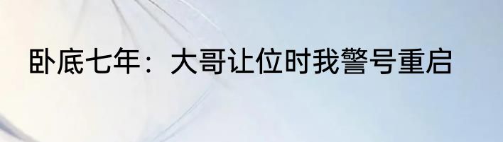 卧底七年：大哥让位时我警号重启