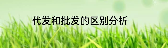 代发和批发的区别分析