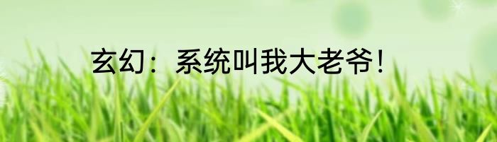 玄幻：系统叫我大老爷！