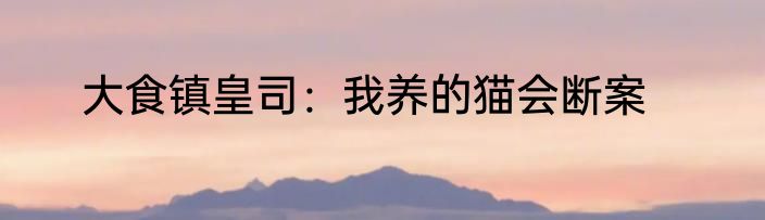 大食镇皇司：我养的猫会断案