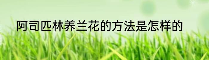 阿司匹林养兰花的方法是怎样的