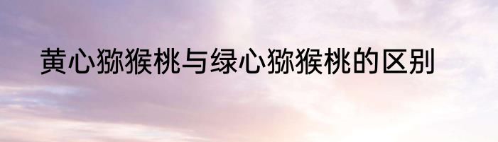 黄心猕猴桃与绿心猕猴桃的区别