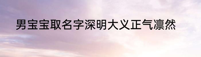 男宝宝取名字深明大义正气凛然
