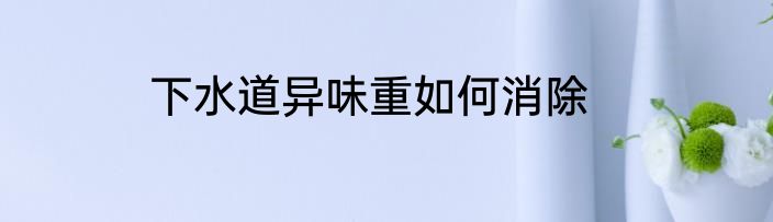 下水道异味重如何消除