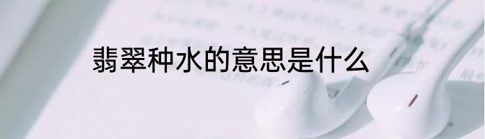 翡翠种水的意思是什么