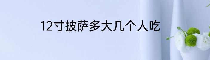 12寸披萨多大几个人吃