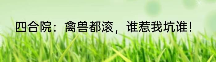 四合院：禽兽都滚，谁惹我坑谁！