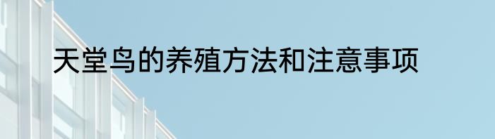 天堂鸟的养殖方法和注意事项