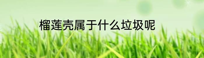 榴莲壳属于什么垃圾呢