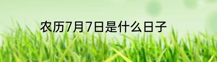 农历7月7日是什么日子