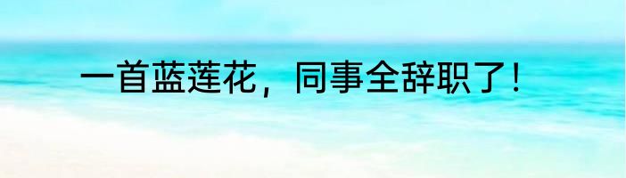 一首蓝莲花，同事全辞职了！