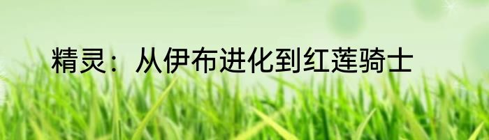 精灵：从伊布进化到红莲骑士