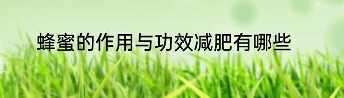 蜂蜜的作用与功效减肥有哪些
