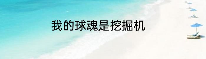 我的球魂是挖掘机