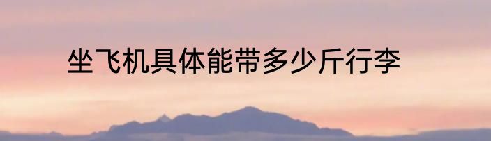 坐飞机具体能带多少斤行李