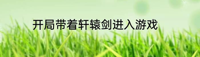 开局带着轩辕剑进入游戏