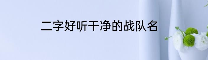 二字好听干净的战队名