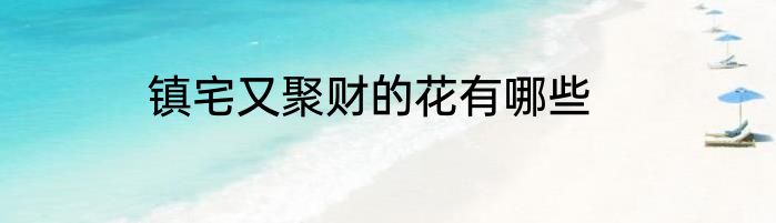 镇宅又聚财的花有哪些